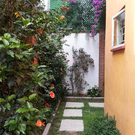 Hotel Maria Del Alma House Meksyk Zewnętrze zdjęcie